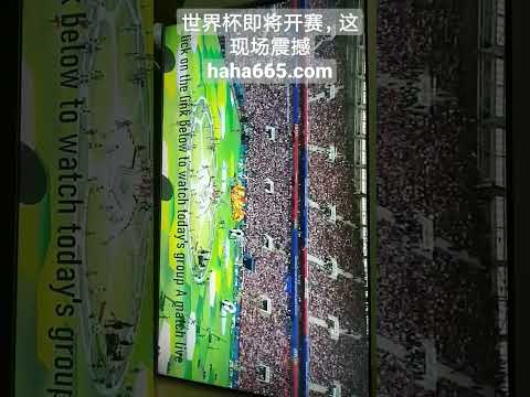 西汉姆联保,级成功后或,考虑买断迪,广州马会,赛程安排,赛马赛事,马匹资料,会员服务