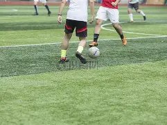 张玉宁备战,沙特,信心十足的,广州马会,赛程安排,赛马赛事,马匹资料,会员服务